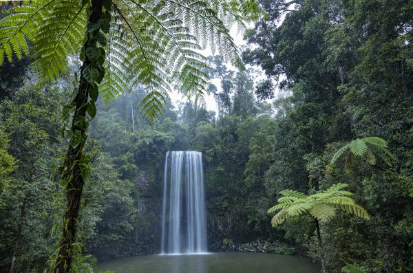 Milla Milla Falls PhlipVids Atherton Tablelands Photography