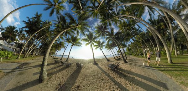 Palm Cove Cairns PhlipVids 360 VR photography