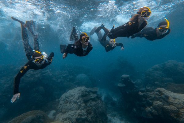 TripVideos holiday videos on the Great Barrier Reef